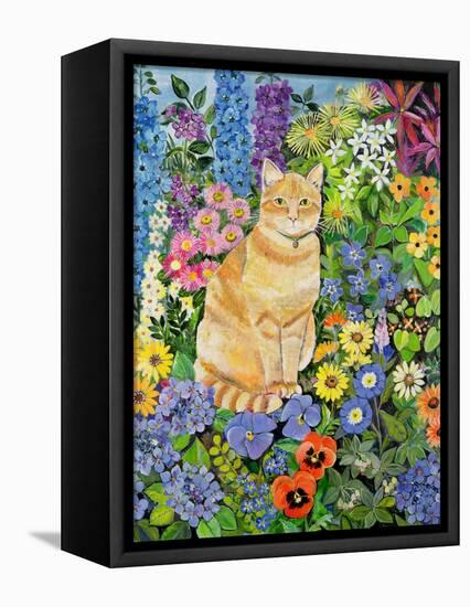 Gordon's Cat, 1996-Hilary Jones-Framed Premier Image Canvas