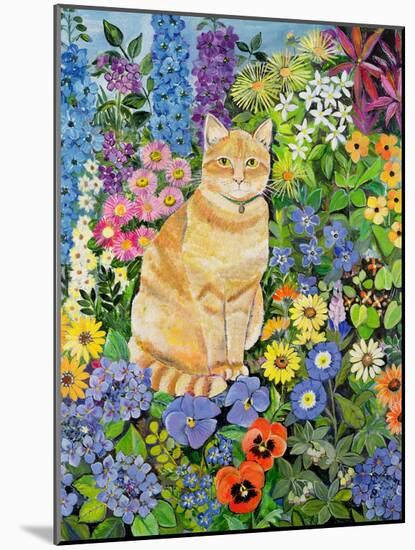 Gordon's Cat, 1996-Hilary Jones-Mounted Giclee Print