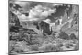 Photographic Print