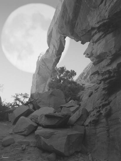 Photographic Print, , large