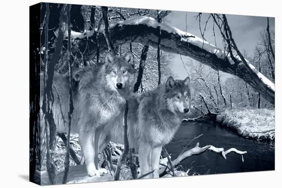 Stretched Canvas Print, , large