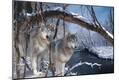 Premium Photographic Print