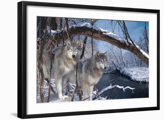 Photographic Print, , large