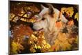 Premium Photographic Print