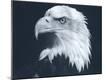 Premium Photographic Print