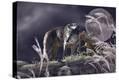 Stretched Canvas Print