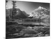 Photographic Print