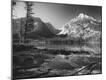Photographic Print
