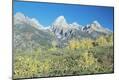 Premium Photographic Print