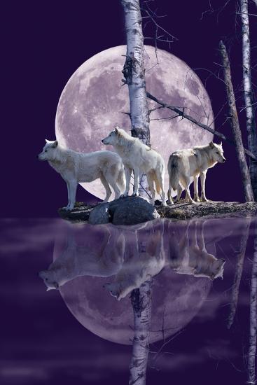 Premium Giclee Print, , large