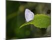 Premium Photographic Print
