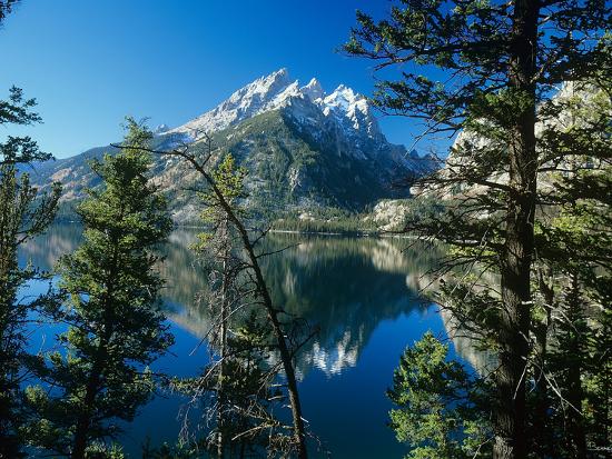 Premium Photographic Print, , large
