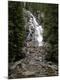 Photographic Print