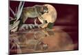 Premium Photographic Print