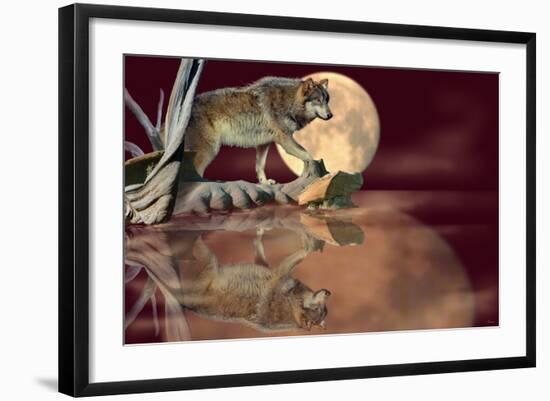Photographic Print, , large