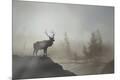 Premium Photographic Print