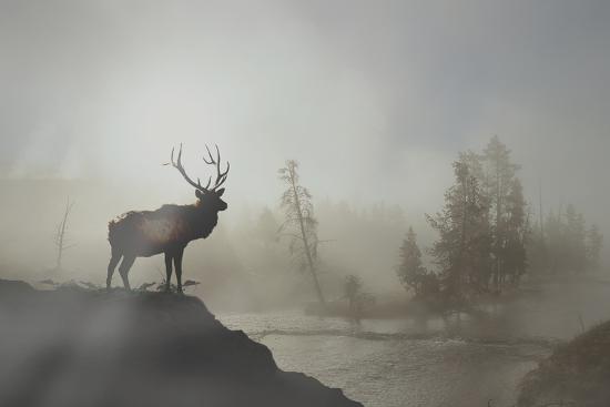 Photographic Print, , large
