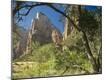 Premium Photographic Print