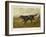 Gordon Setter in the Field with Its Classic Black and Tan Colouring-Langham David-Framed Art Print