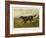 Gordon Setter in the Field with Its Classic Black and Tan Colouring-Langham David-Framed Art Print