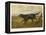 Gordon Setter in the Field with Its Classic Black and Tan Colouring-Langham David-Framed Stretched Canvas