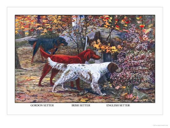 Gordon Setter Irish Setter English Setter Art Print Louis Agassiz Fuertes Art Com