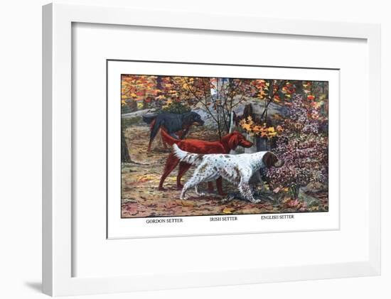 Gordon Setter, Irish Setter, English Setter-Louis Agassiz Fuertes-Framed Art Print