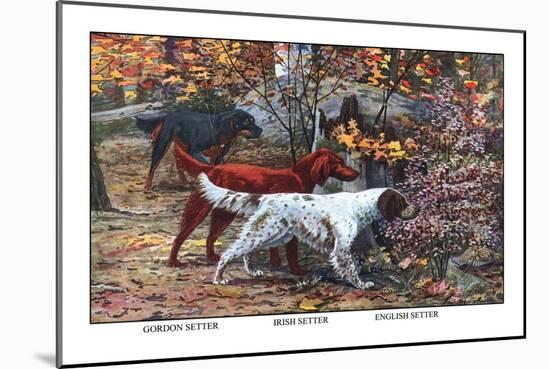 Gordon Setter, Irish Setter, English Setter-Louis Agassiz Fuertes-Mounted Art Print