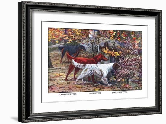 Gordon Setter, Irish Setter, English Setter-Louis Agassiz Fuertes-Framed Art Print