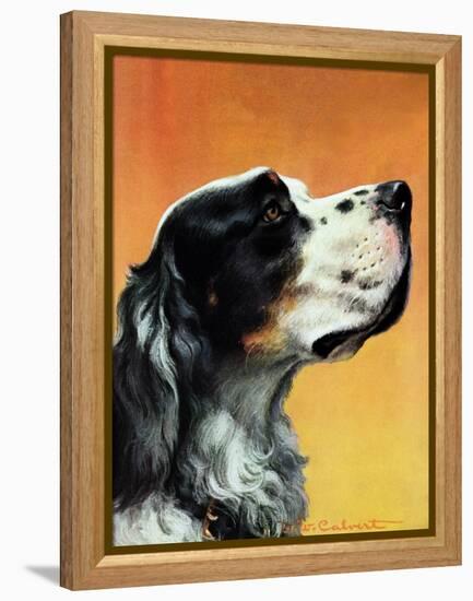 "Gordon Setter," October 17, 1942-W.W. Calvert-Framed Premier Image Canvas