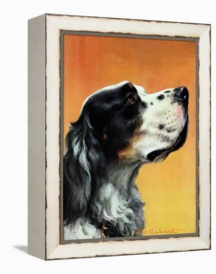 "Gordon Setter," October 17, 1942-W.W. Calvert-Framed Premier Image Canvas