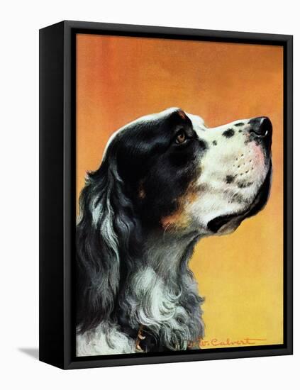 "Gordon Setter," October 17, 1942-W.W. Calvert-Framed Premier Image Canvas