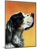 "Gordon Setter," October 17, 1942-W.W. Calvert-Mounted Giclee Print