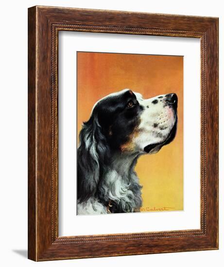 "Gordon Setter," October 17, 1942-W.W. Calvert-Framed Giclee Print