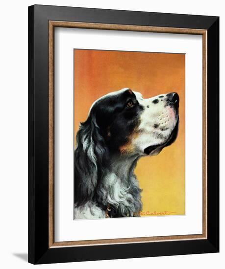 "Gordon Setter," October 17, 1942-W.W. Calvert-Framed Giclee Print