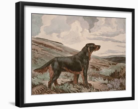 Gordon Setter-Reuben Ward Binks-Framed Premium Giclee Print