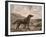 Gordon Setter-Reuben Ward Binks-Framed Premium Giclee Print