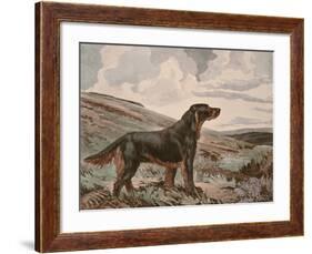 Gordon Setter-Reuben Ward Binks-Framed Premium Giclee Print