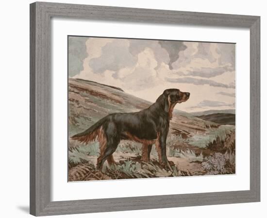 Gordon Setter-Reuben Ward Binks-Framed Premium Giclee Print