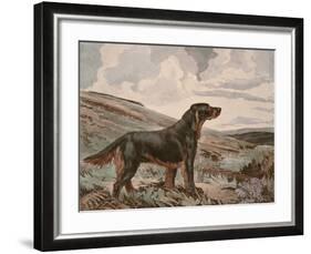 Gordon Setter-Reuben Ward Binks-Framed Premium Giclee Print