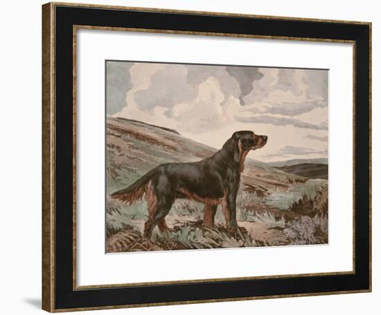 Gordon Setter-Reuben Ward Binks-Framed Premium Giclee Print