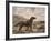 Gordon Setter-Reuben Ward Binks-Framed Premium Giclee Print