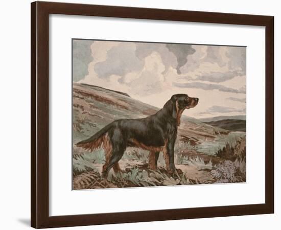 Gordon Setter-Reuben Ward Binks-Framed Premium Giclee Print