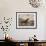 Gordon Setter-Reuben Ward Binks-Framed Premium Giclee Print displayed on a wall