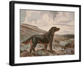 Gordon Setter-Reuben Ward Binks-Framed Premium Giclee Print