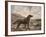 Gordon Setter-Reuben Ward Binks-Framed Premium Giclee Print