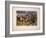 Gordons and Greys, C.1900-Stanley Berkeley-Framed Giclee Print