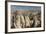 Goreme, UNESCO World Heritage Site, Cappadocia, Anatolia, Turkey, Asia Minor, Eurasia-Tony Waltham-Framed Photographic Print