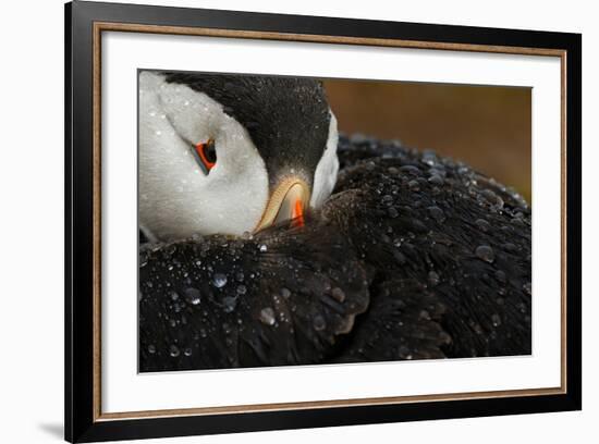 Goretex-Mario Suárez-Framed Photographic Print