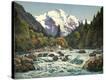 Stretched Canvas Print
